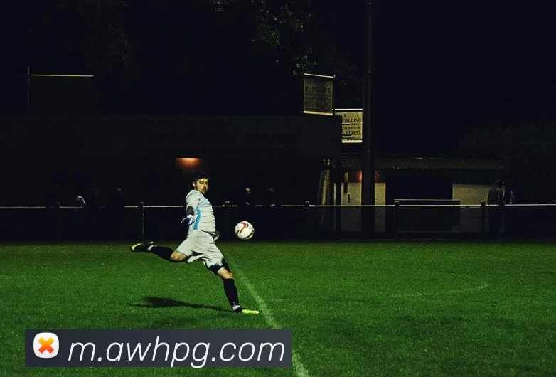 pg官网平台生态图